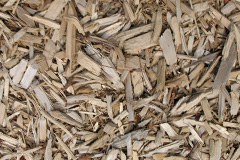 biomass boilers Wollerton Wood